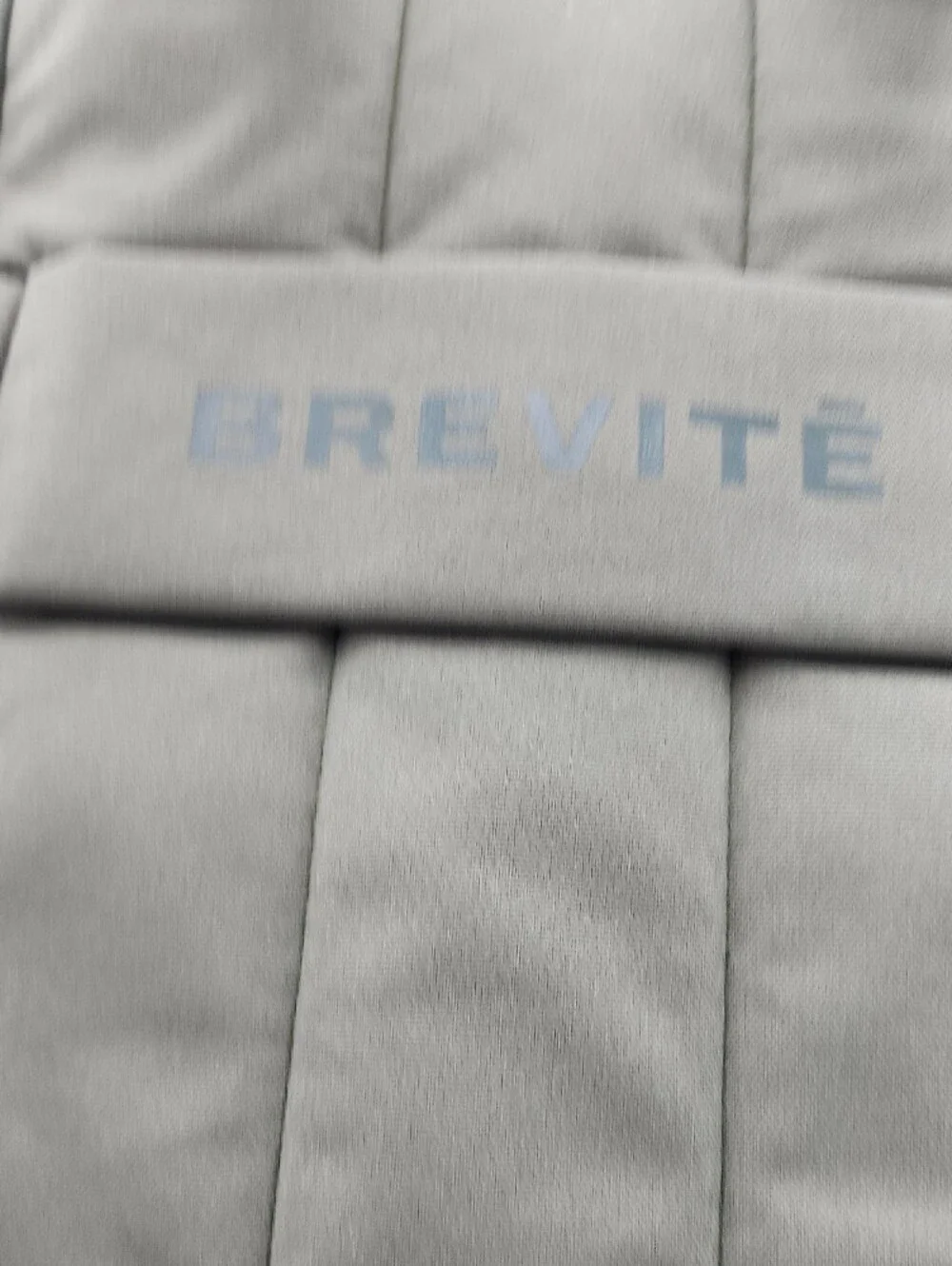 Brevite Olive Green Men's Backpack